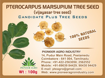 Pterocarpus Marsupium